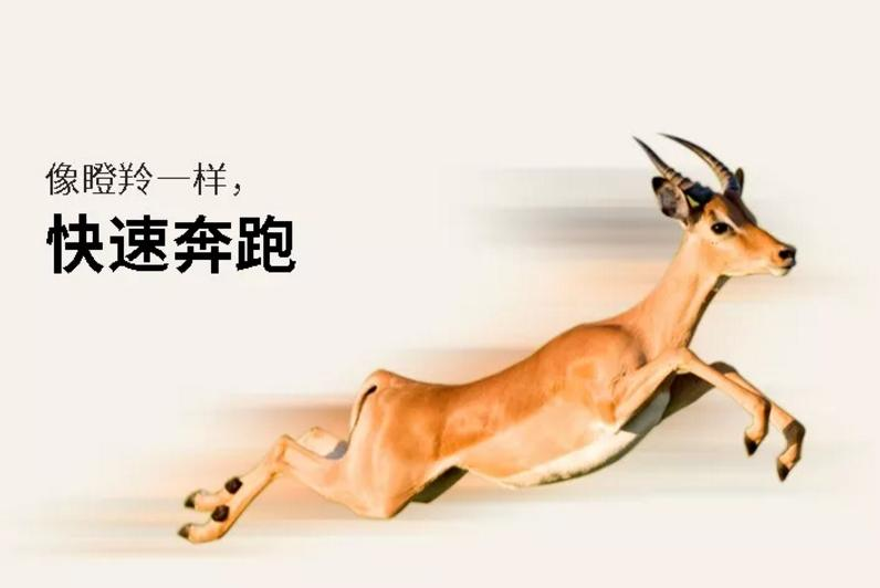 热烈祝贺索诺星获得瞪羚企业认定，以科技创新、商业模式创新为支撑进入高成长期