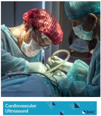 Cardiology: Lung ultrasound: a new tool for the cardiologist