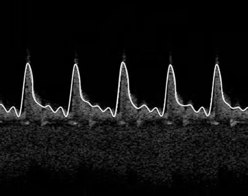 2024082918426011.jpg QQ图片20240829100327.jpg